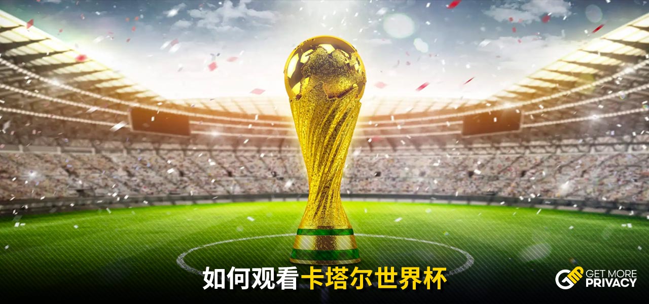 情进行详细