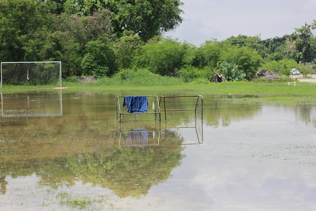 发挥能力 发挥能力