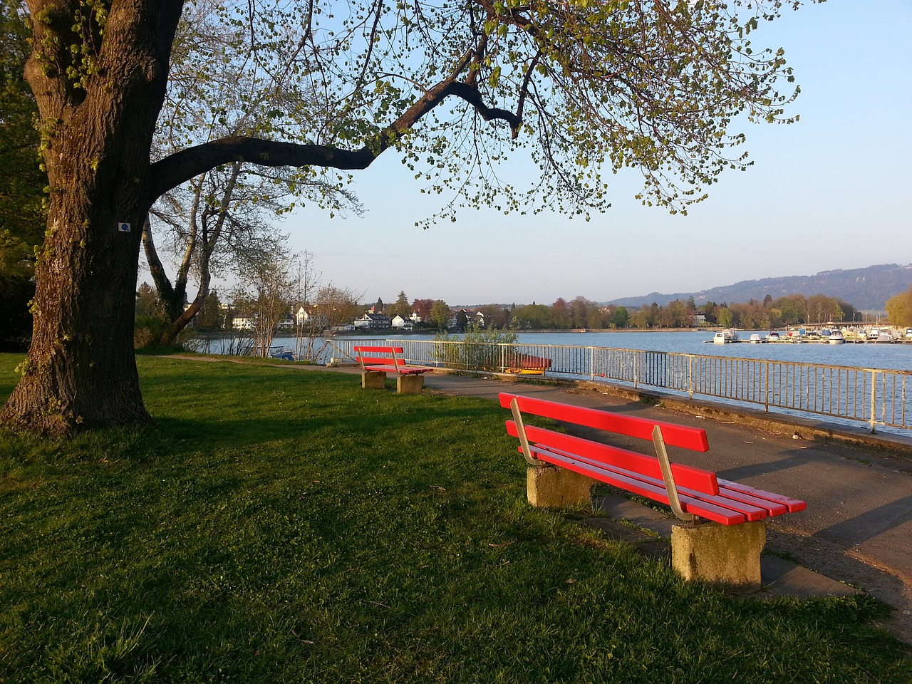 了這一技術 了這一技術