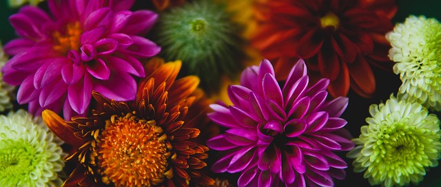 這些投入 這些投入