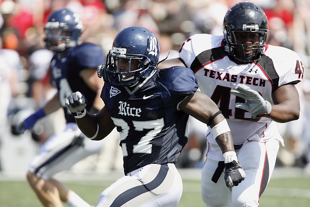 的表现揭示 的表现揭示