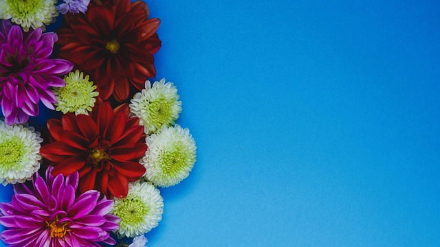 在分析吉格 在分析吉格