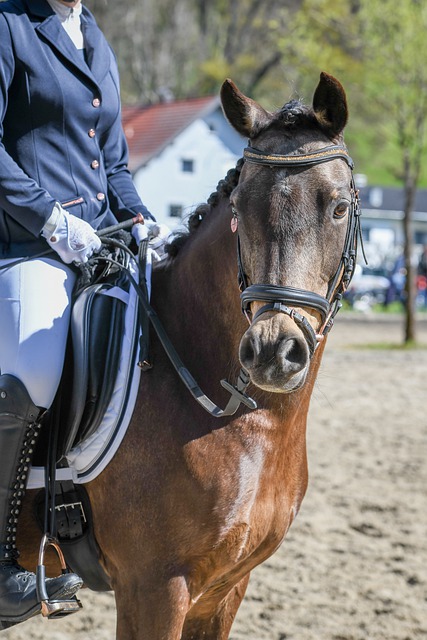 住对手的防 住对手的防