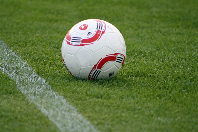 在故事情节 在故事情节