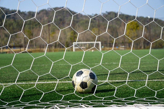 令人欣慰的 令人欣慰的