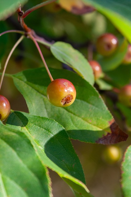 胜后点名批 胜后点名批